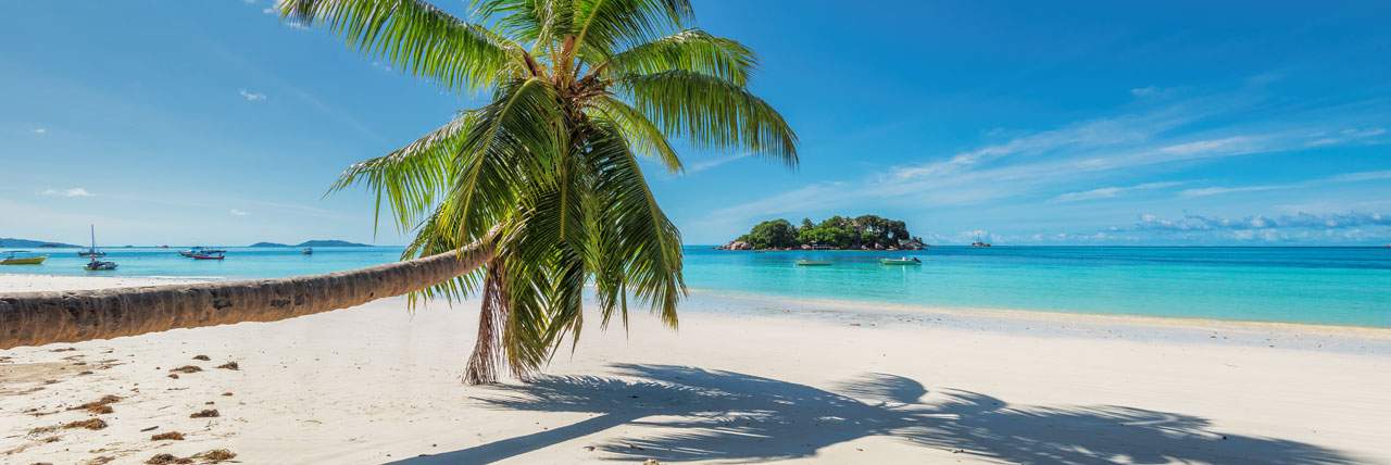 Hawaii Cruises